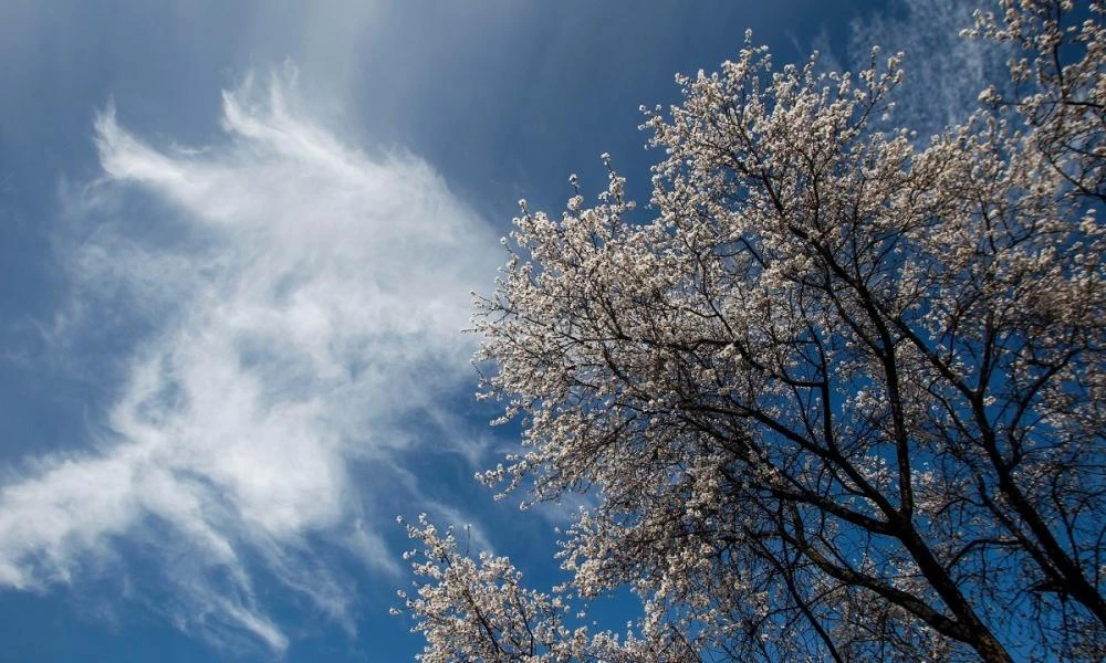 Καιρός: Αίθριος καιρός με τοπικές νεφώσεις